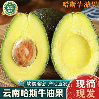 南步 云南哈斯牛油果 孟连当季国产巨无霸宝宝鳄梨果酱泥健康轻食水果 4个 精选小果试吃