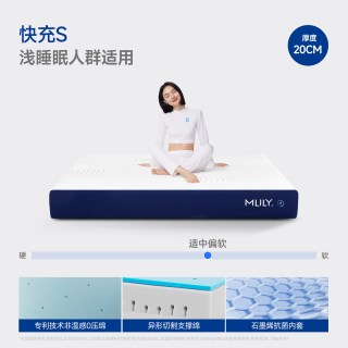 MLILY 快充护脊0压记忆棉床垫家用卧室榻榻米席梦思智能电动床垫