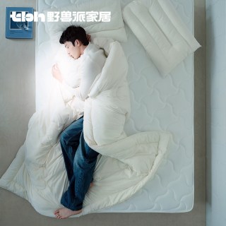 88VIP：野兽派 EW 仿生羽绒被 150X210 米色