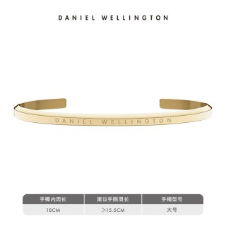 Daniel Wellington Classic系列 金色手镯 香槟金 大号 Classic Bracelet Gold