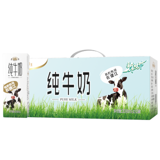 遵义灭菌乳纯牛奶200mL*15盒/件优质蛋白质学生成人营养早餐奶
