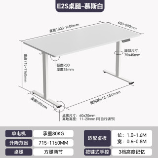 乐歌 电动升降桌电脑桌站立办公家用写字书桌 E2S/1.2m白色