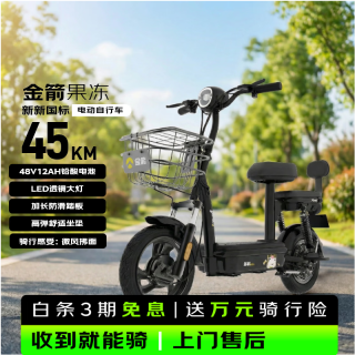 金箭 长续航 电动自行车 铅酸电池