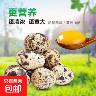 京东生鲜 生鲜鹌鹑蛋孕妇宝宝营养辅食鹑鸟蛋鲜鹌鹑蛋整箱商用批发 50枚