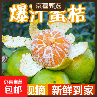 京东自营 云南蜜橘青皮新鲜橘子当季水果应季现摘蜜桔子柑橘柑整箱酸甜多汁 2斤 50-55mm净重1.8斤