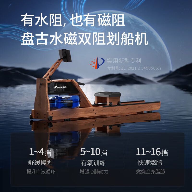 麦瑞克 950 水磁双阻 划船机