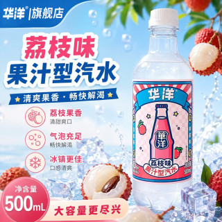 华洋 果汁汽水瓶装整箱大瓶装碳酸饮料广州荔枝气泡水果汁 经典荔枝味500ml