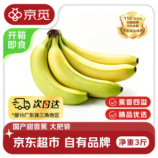 京觅 东莞精品大把甜香蕉 净重3斤 单根150g+即食甜蕉生鲜水果源头直发