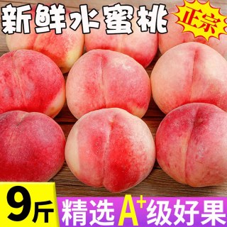 汇果康 正宗水蜜桃新鲜桃子水果当季软香甜多汁应现摘脆甜整箱包邮毛桃