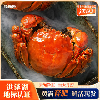 添渔港 洪泽湖认证大闸蟹 每只都有溯源码 中秋礼盒送礼
公 3.3－3.5 两母 2.8－3.0两 5 对 10只