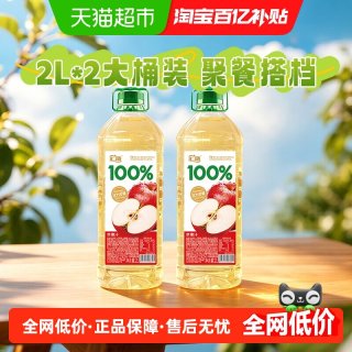 移动端、88VIP：汇源 100%果汁2L大桶瓶装果汁 苹果汁+苹果汁 2L*2桶