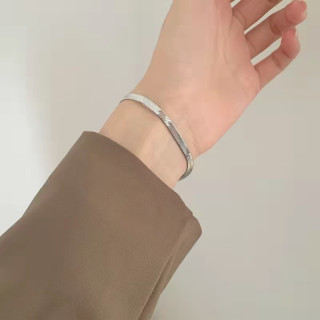 钛钢手链 手链项链简约小众百搭ins男女生扁蛇骨手链SL20轻奢气质