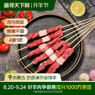 草原宏宝 羔羊肉串 500g