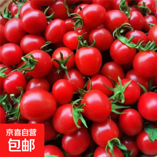 广西圣女果孕妇现摘新鲜水果小番茄生吃产地批发酸甜爆汁小西红柿 带箱2斤（净重1.8斤）
