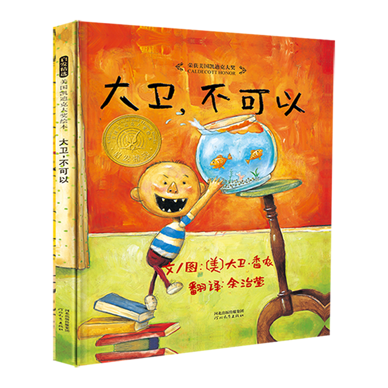 《大卫不可以》（精装）