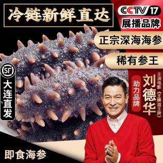 辽洲岛大连即食海参独立包装 辽参海鲜盒装固形物孕妇中秋礼品特产礼物 御品款3斤15-18个