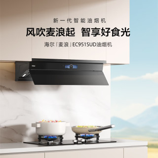 海尔 顶侧一体小巧油烟机变频自清洁CXW-358-EC951SUD