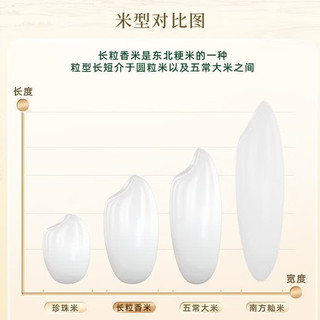 十月稻田 长粒香大米 东北大米 5kg