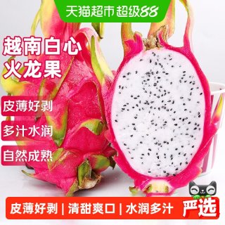 88VIP：寻天果蔬 越南白心火龙果应当季新鲜热带水果越南进口白肉