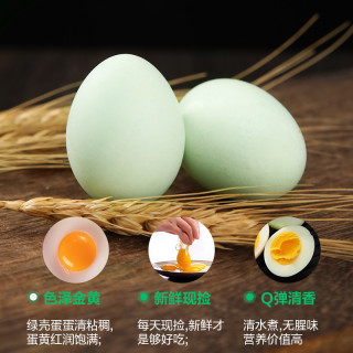 我老家 乌鸡蛋绿壳鸡蛋营养新鲜50枚绿皮蛋居家食用放心蛋