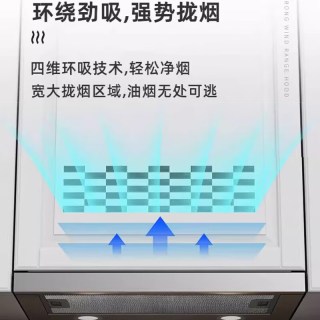 TOYODENKI 日本東洋）公寓抽拉式抽油烟机小尺寸矮机身小型