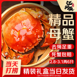 江问鱼 大闸蟹全母2.8两-3.1两 6只装 中秋礼盒
