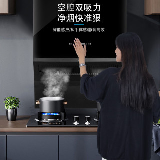 镝玺 新风鲜氧超级油烟机  超薄机身  双直流变频电机 新风联动排烟系统