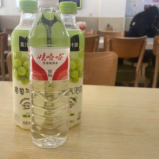 娃哈哈 饮用纯净水 500ml