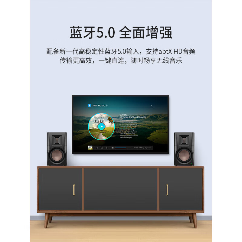 惠威 D300 有源音箱