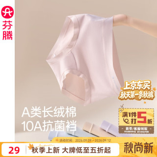 芬腾 女士A类抗菌中腰三角裤 奶油黄淡紫水蓝肤粉淡绿 XL 5条装