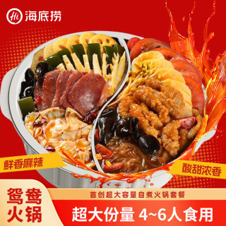 海底捞 自热火锅超大分量鸳鸯锅川香麻辣番茄东北麻辣烫火锅套餐