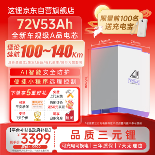 这锂 电动车锂电池72V53Ah适配九号小牛极核电瓶车电池银色柜充单电池