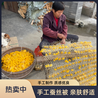 陌上问蚕古法手工蚕丝被黄金蚕丝单人双人儿童空调被子母被夏凉被