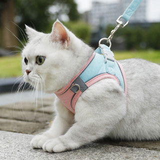 宠物胸背带小型犬透气反光