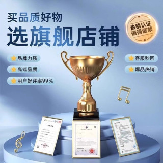 盈顺嘉 X88 主动降噪 真无线蓝牙耳机