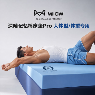 猫人 可拆凝胶记忆棉床垫1.5米x2米加厚席梦思床褥子榻榻米专用软垫子 深睡-浅蓝-厚约