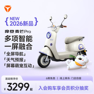 雅迪 摩登麦芒Pro 电动轻便摩托车 颜色到店自选