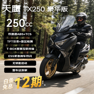 天鹰 TX250F 燃油踏板摩托车 哑黑