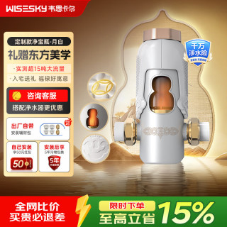 韦思卡尔 净宝瓶定制款反重力前置过滤器10T/H大流量家用反冲洗全屋净水WSP-85-86W