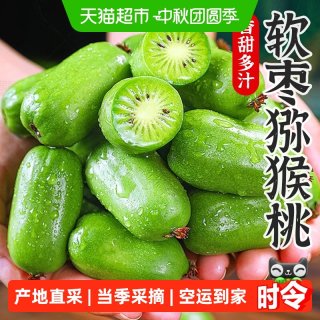 88VIP：孙悟空 正宗陕西软枣猕猴桃迷你奇异果奇异莓新鲜水果