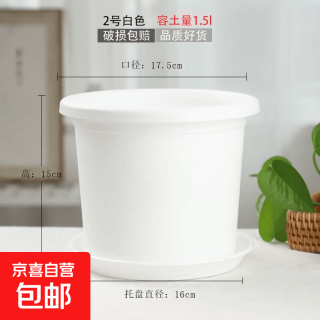 阳台家用北欧风加厚四季盆 2号口径约17cm 1个盆送原装托盘（9.9包邮页面抢券）