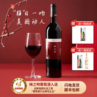 梅之吻 赤霞珠干红葡萄酒
