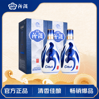 汾酒 青花20升级版 53度清香型白酒 500ml*2瓶