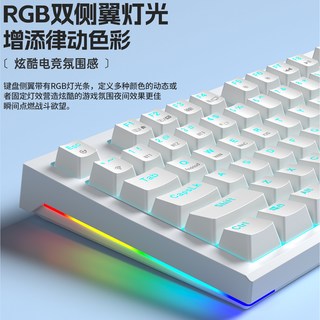 狼蛛 热插拔机械键盘 青茶轴 87/104键