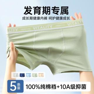 芬腾 100%纯棉裆 男童内裤