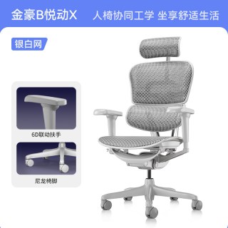 Ergonor 金豪B 人体工学电脑椅