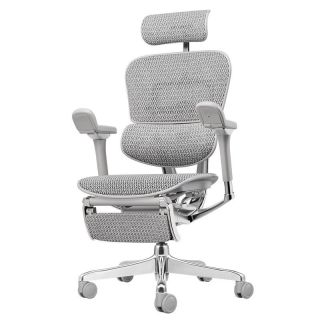Ergonor 保友金豪L2电竞人体工学椅久坐电脑家用办公老板椅
