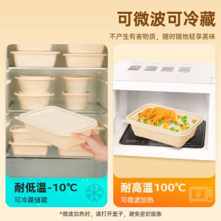 88VIP：特美居 一次性餐盒方形玉米淀粉基打包饭盒带盖露营野餐便当盒环保