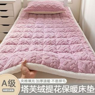 冬季牛奶绒床垫铺底保暖加厚软垫学生宿舍单人珊瑚绒榻榻米床褥子
