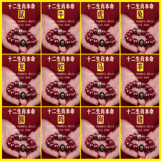 巳蛇年新款十二生肖八大本命红珠手链护带转轮高档手串